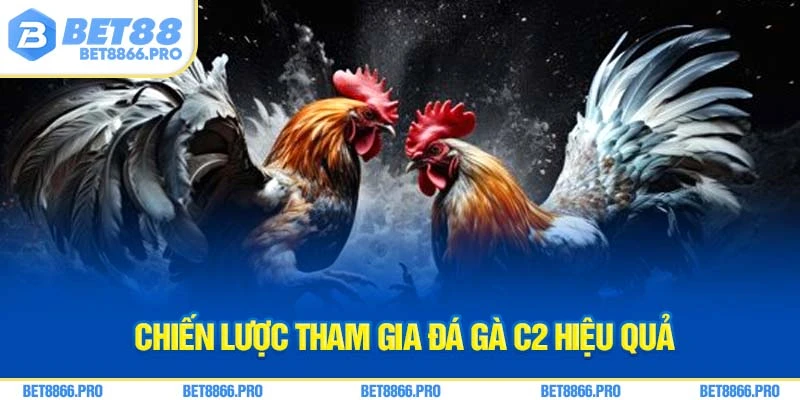 Chiến lược tham gia đá gà C2 hiệu quả