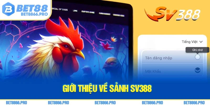 Giới thiệu về sảnh SV388