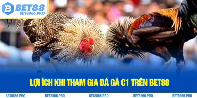 Lợi ích khi tham gia đá gà C1 trên BET88