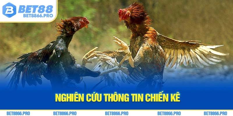 Nghiên cứu thông tin chiến kê