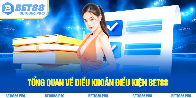 Tổng quan về điều khoản điều kiện Bet88